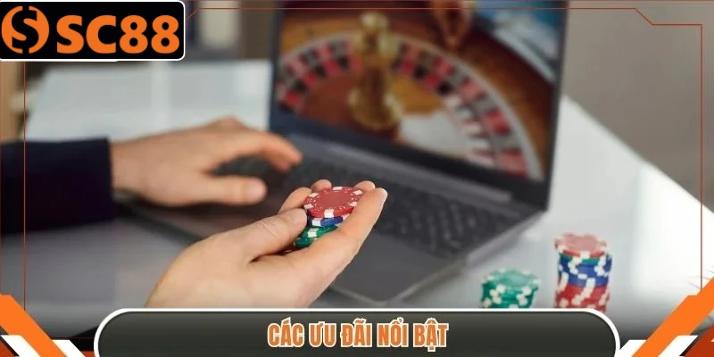 Các ưu đãi nổi bật